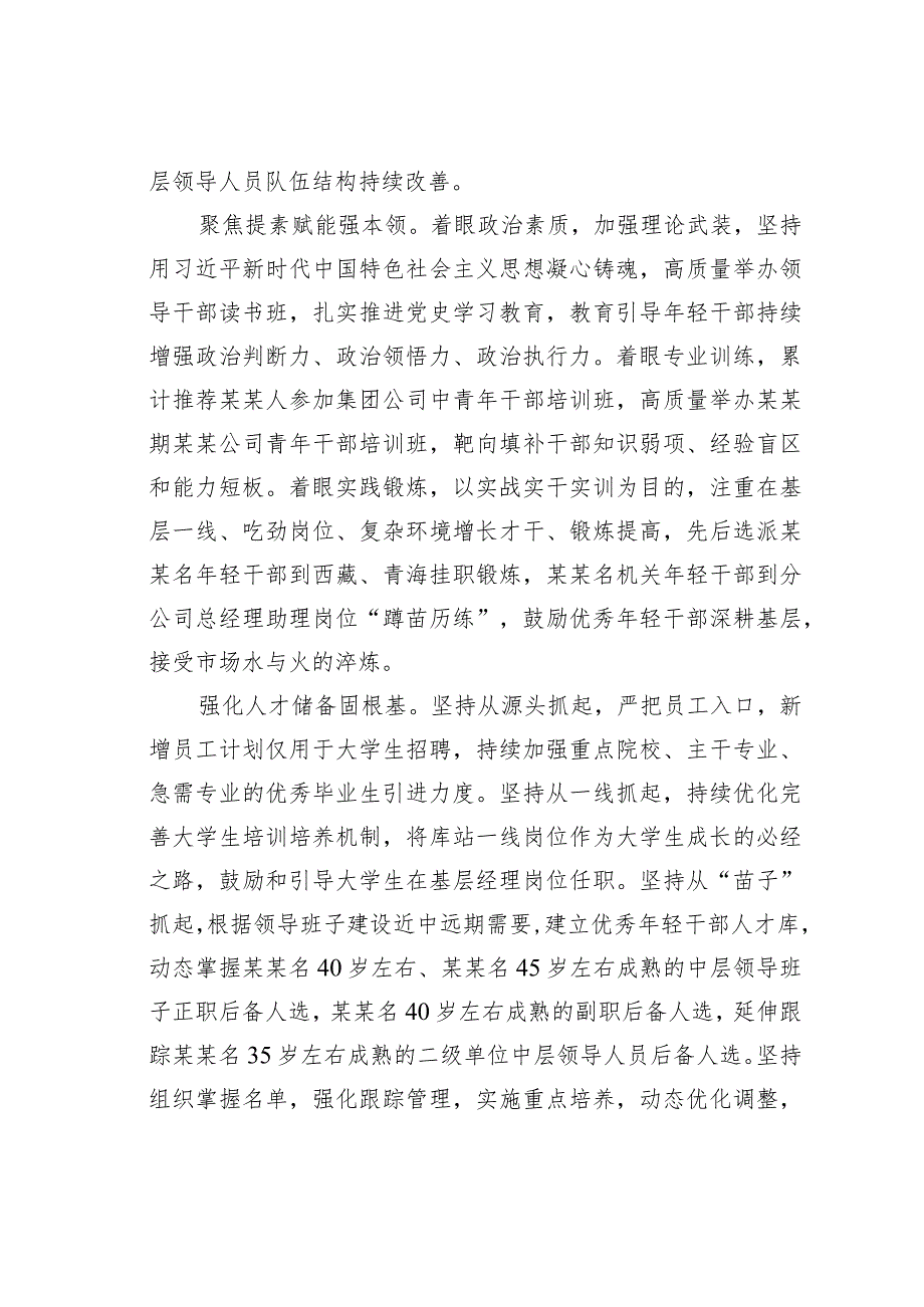 某某国企优秀年轻干部队伍建设情况的调研报告.docx_第2页