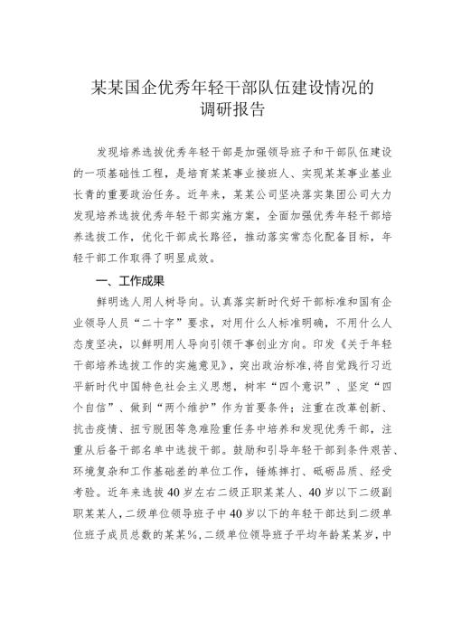某某国企优秀年轻干部队伍建设情况的调研报告.docx