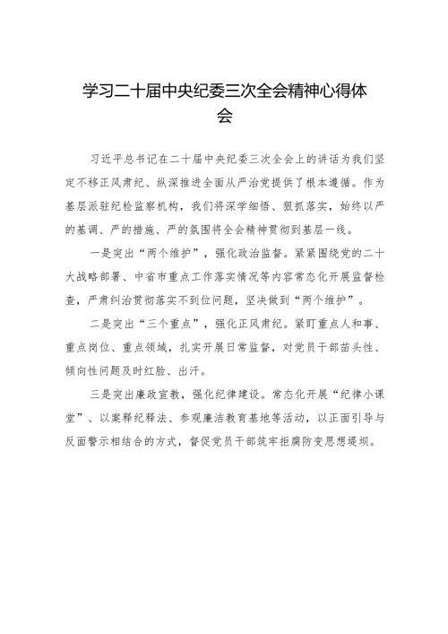 学习二十中央纪委三次全会精神心得体会交流发言(25篇).docx