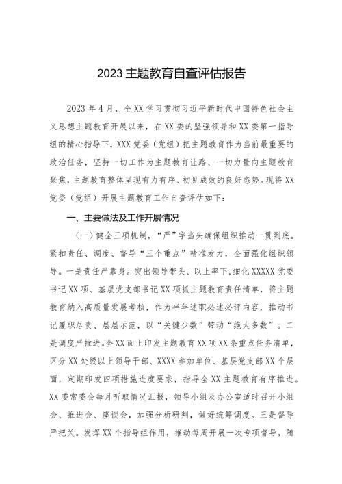 九篇主题教育开展情况的自查评估报告.docx