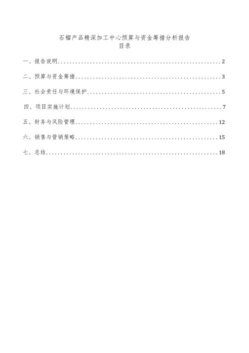 石榴产品精深加工中心预算与资金筹措分析报告.docx