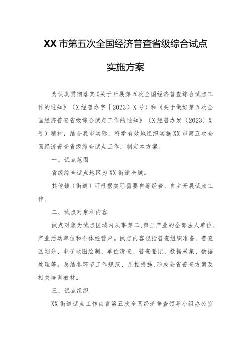 XX市第五次全国经济普查省级综合试点实施方案.docx