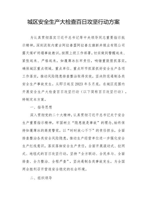 城区安全生产大检查百日攻坚行动方案.docx