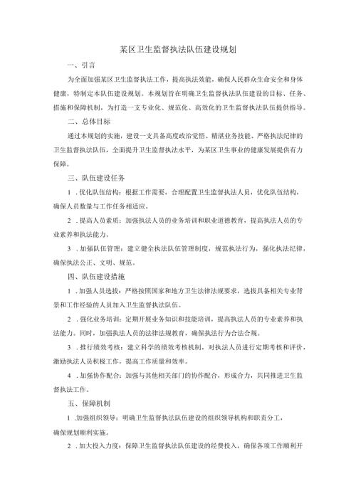 某区卫生监督执法队伍建设规划.docx