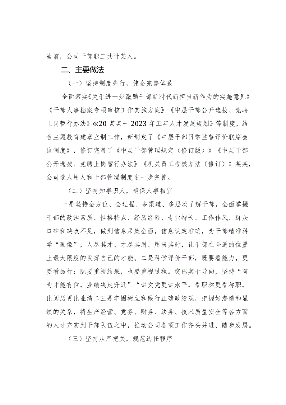 某某国企党委2023选人用人专题工作报告.docx_第2页