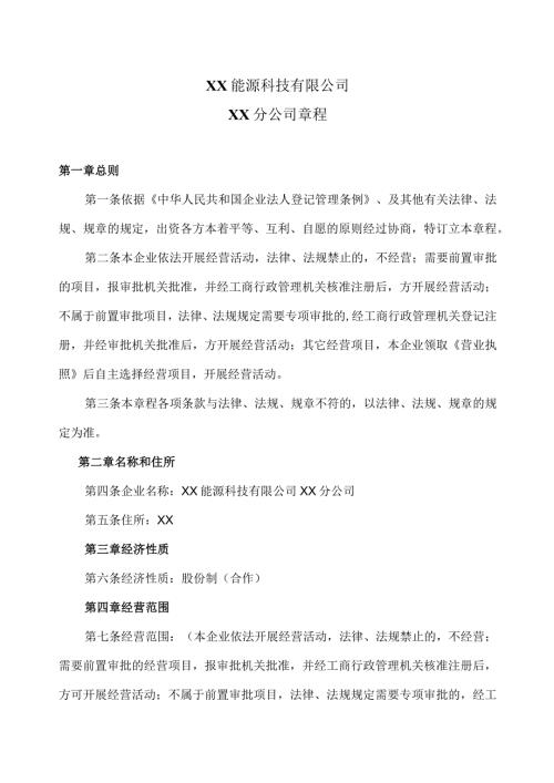 XX能源科技有限公司XX分公司章程（2023年）.docx