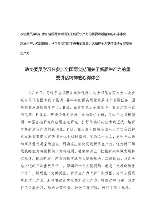 （2篇）政协委员学习在参加全国两会期间关于新质生产力的重要讲话精神的心得体会新质生产力党课讲稿全力支持加快发展新质生产力.docx