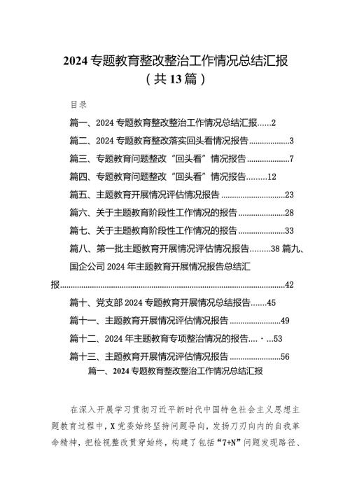 专题教育整改整治工作情况总结汇报13篇（精选版）.docx