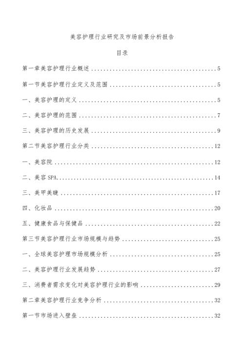 美容护理行业研究及市场前景分析报告.docx