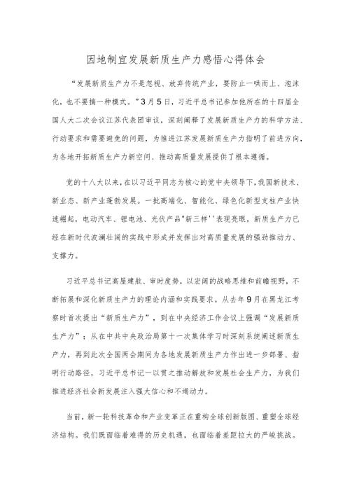 因地制宜发展新质生产力感悟心得体会.docx