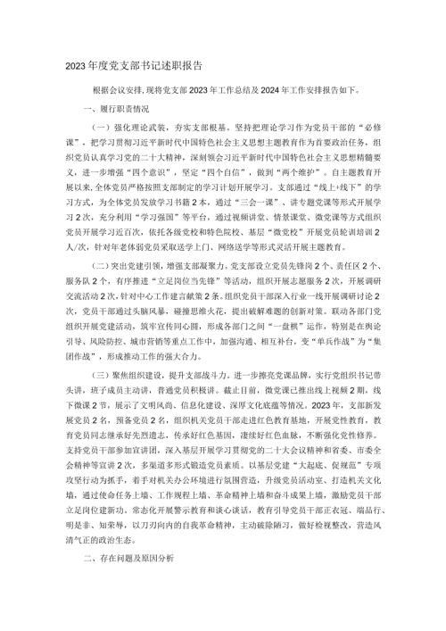 2023党支部书记述职报告.docx
