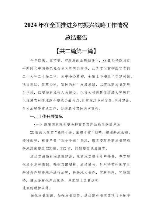（2篇）2024年在全面推进乡村振兴战略工作情况总结报告.docx