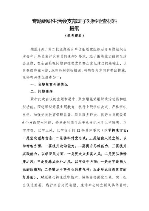 00专题组织生活会支部班子对照检查材料参考(1).docx