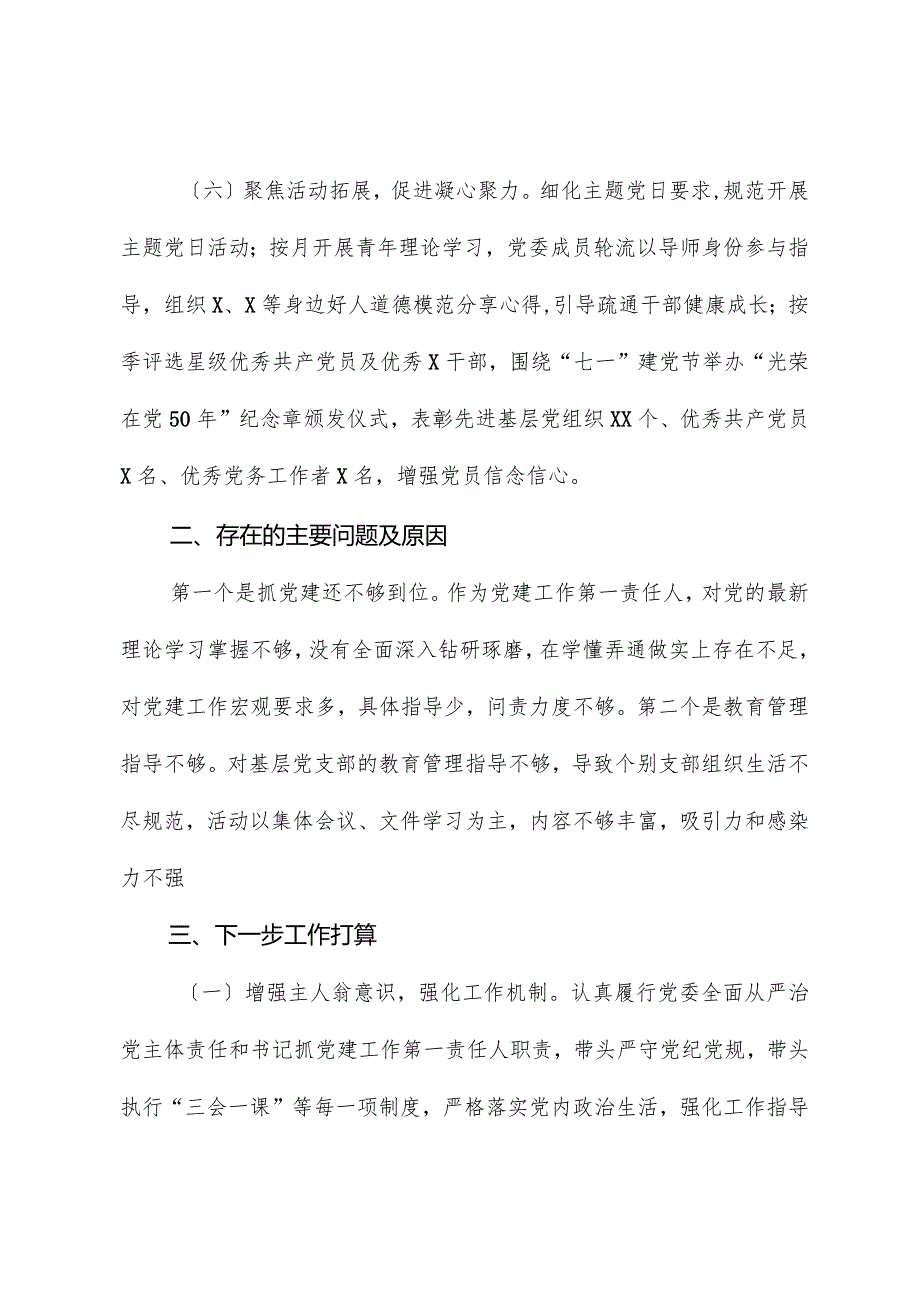 党支部书记2023抓党建工作述职报告01.docx_第3页
