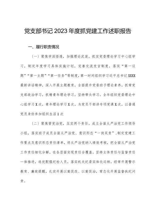 党支部书记2023抓党建工作述职报告01.docx