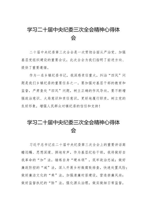 纪委书记关于二十中央纪委三次全会精神的学习体会(25篇).docx