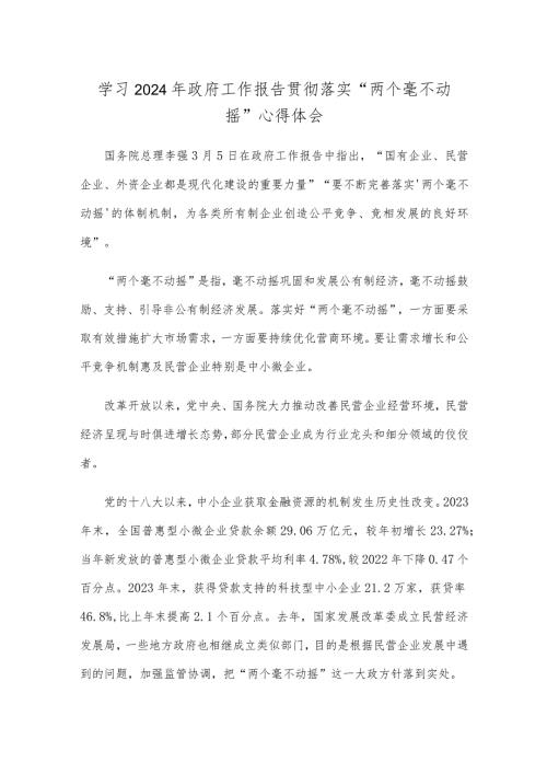 学习2024年政府工作报告贯彻落实“两个毫不动摇”心得体会.docx