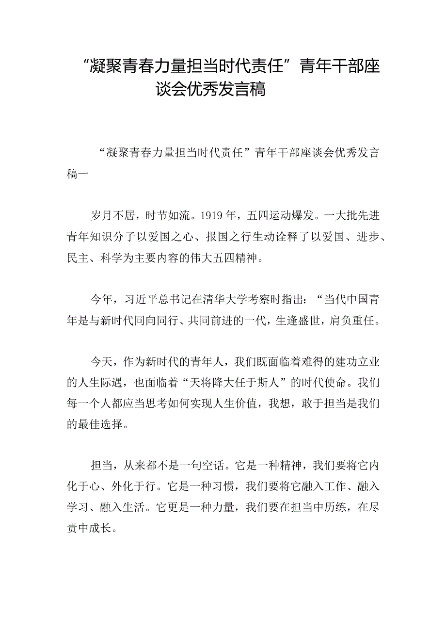 “凝聚青力量 担当时代责任” 青年干部座谈会优秀发言稿.docx_第1页