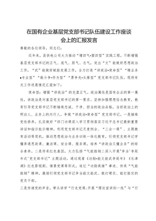 在国有企业基层党支部书记队伍建设工作座谈会上的汇报发言(1).docx
