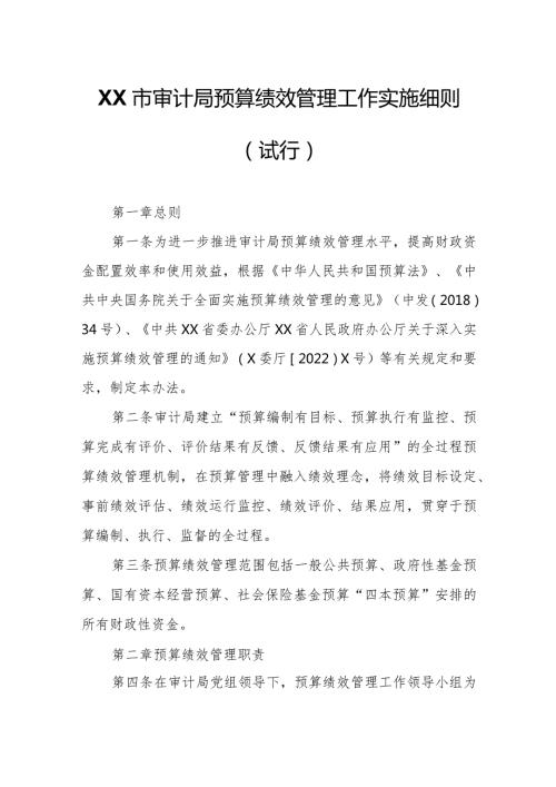 XX市审计局预算绩效管理工作实施细则.docx