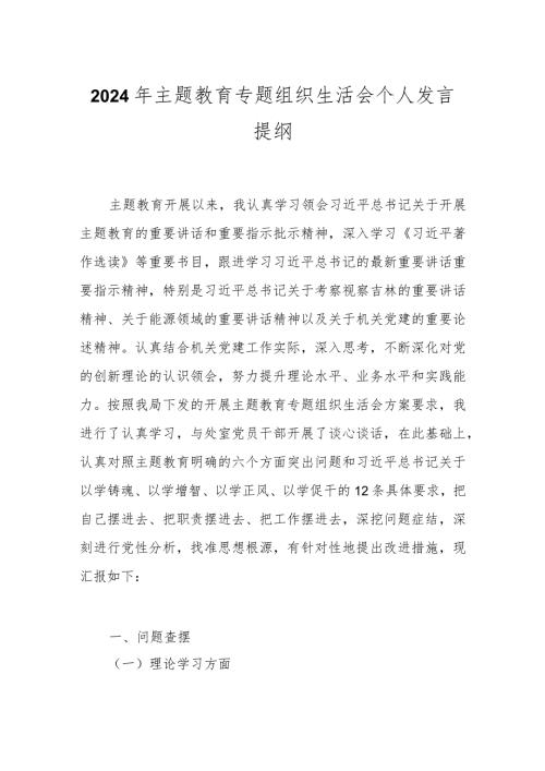 2024年主题教育专题组织生活会个人发言提纲.docx