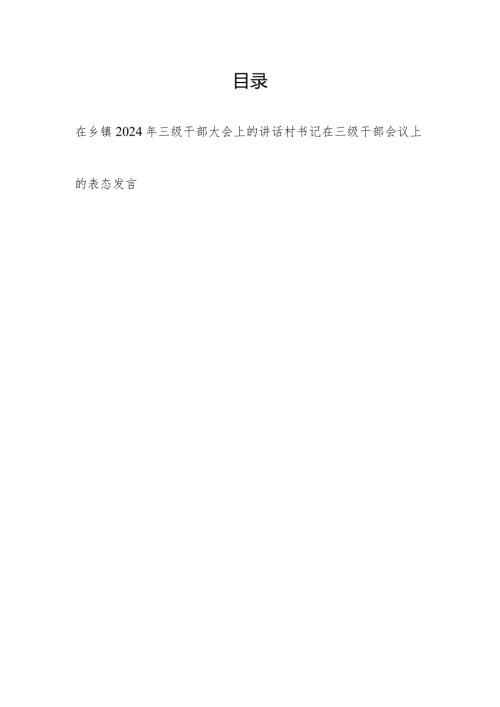 在乡镇2024年三级干部大会上的讲话和村书记在三级干部会议上的表态发言.docx