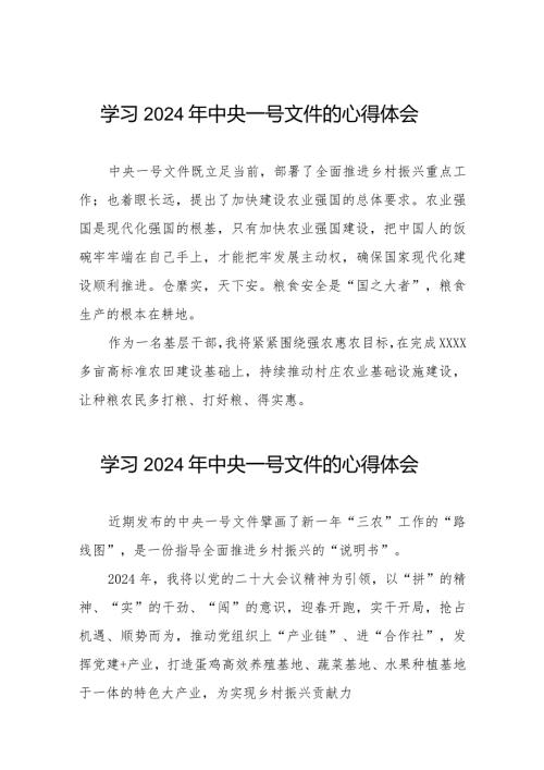 驻村干部学习《中共中央 国务院关于学习运用“千村示范、万村整治”工程经验有力有效推进乡村全面振兴的意见》心得体会十四篇.docx