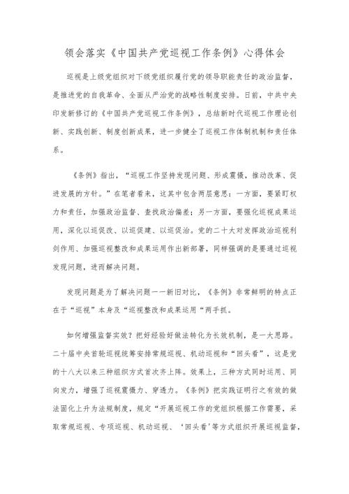 领会落实《巡视工作条例》心得体会.docx