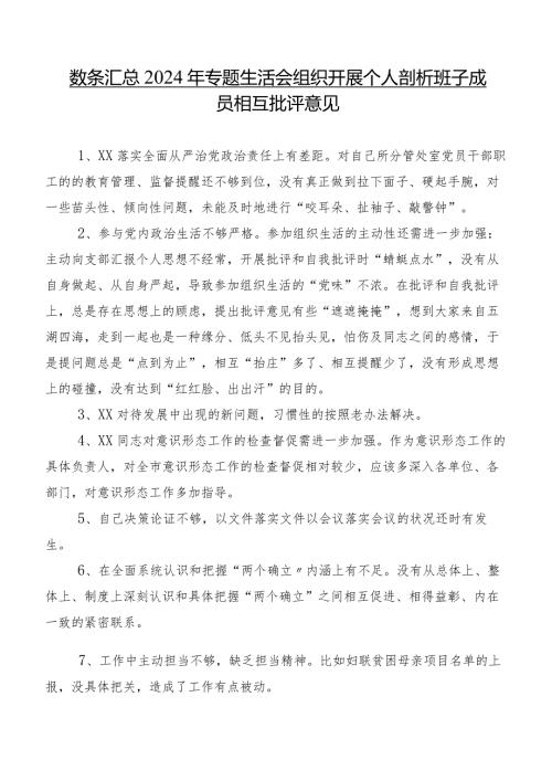 数条汇总2024年专题生活会组织开展个人剖析班子成员相互批评意见.docx