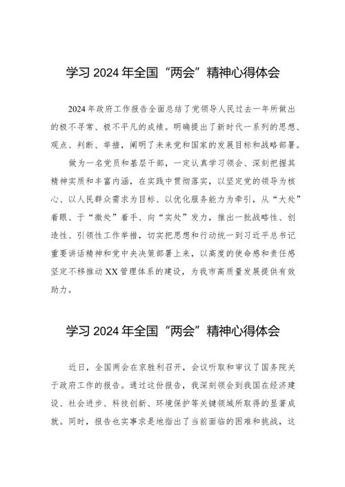 2024年“两会”精神学习心得体会二十篇.docx
