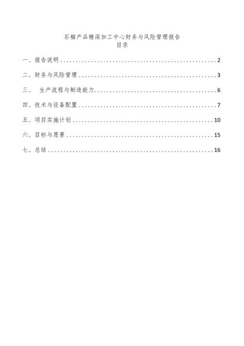 石榴产品精深加工中心财务与风险管理报告.docx