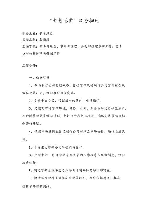 销售总监职能说明书.docx