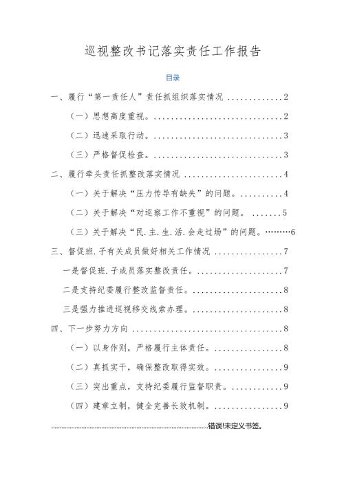 巡视整改书记落实责任工作报告.docx