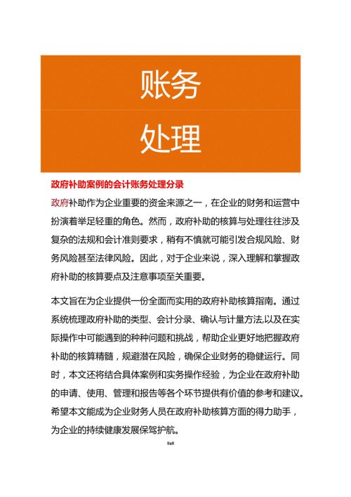 政府补助案例的会计账务处理分录.docx