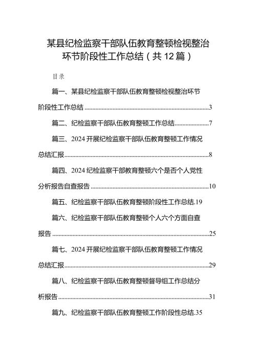 （12篇）某县纪检监察干部队伍教育整顿检视整治环节阶段性工作总结(最新精选).docx