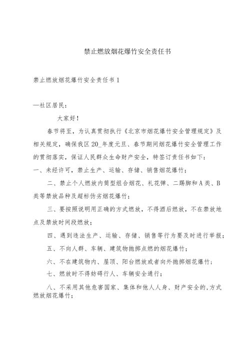禁止燃放烟花爆竹安全责任书.docx