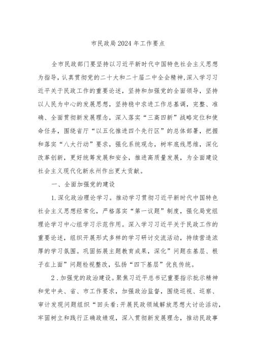 市民政局2024年工作要点.docx