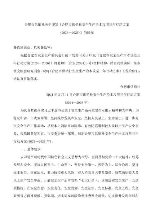 《合肥市供销社安全生产治本攻坚三年行动方案(2024―2026)》.docx