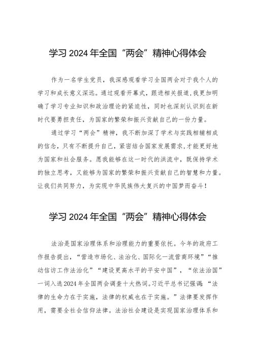 学习2024年“两会”精神心得体会样本合集30篇.docx