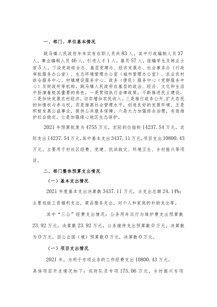 2021长沙市雨花区跳马镇人民政府部门整体支出预算绩效自评报告.docx_第2页