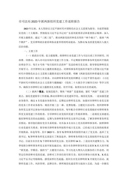 市司法局2023年抓两新组织党建工作述职报告(1).docx