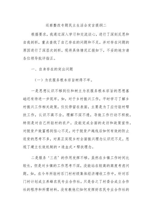 巡察整改专题民主生活会发言提纲二.docx
