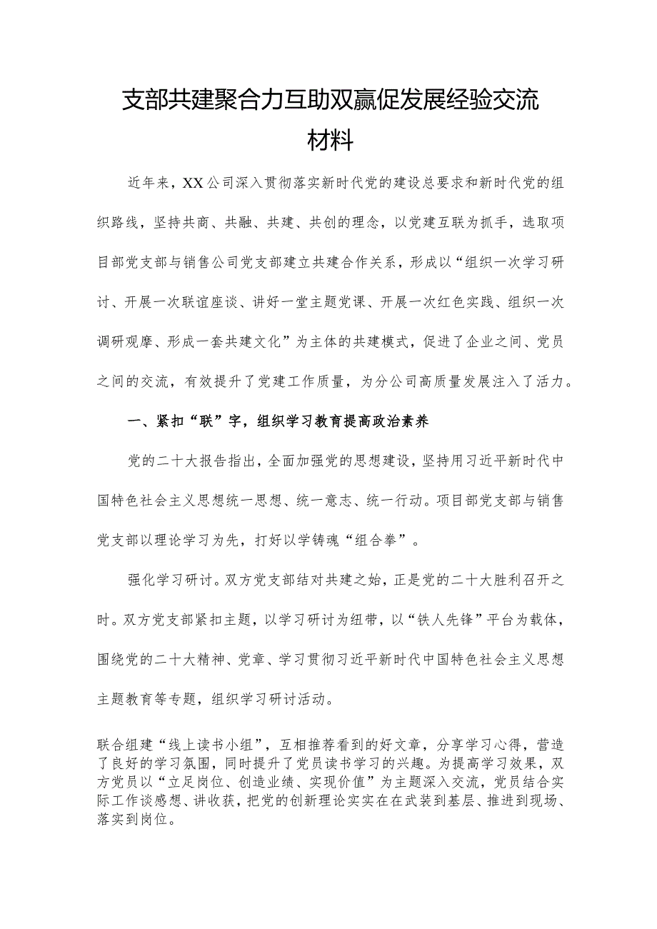 支部共建聚合力 互助双赢促发展经验交流材料.docx_第1页