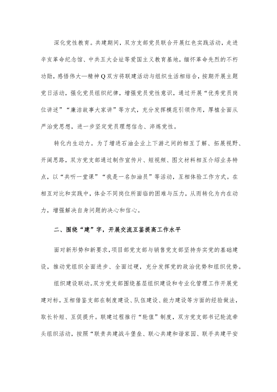 支部共建聚合力 互助双赢促发展经验交流材料.docx_第2页