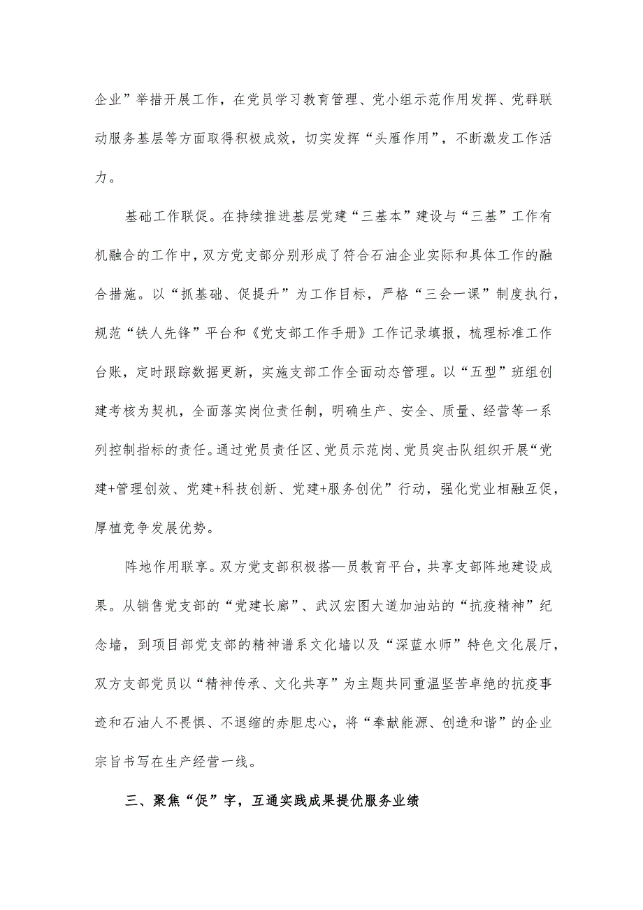 支部共建聚合力 互助双赢促发展经验交流材料.docx_第3页