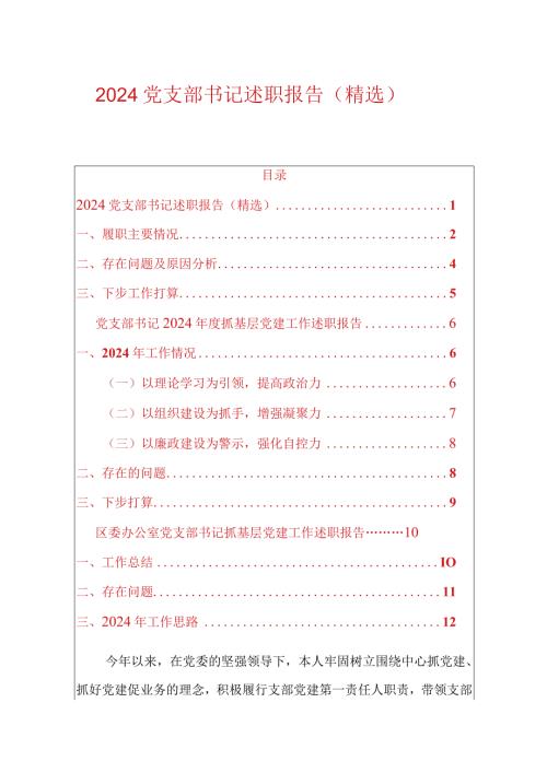 2024党支部书记述职报告（精选）(1).docx
