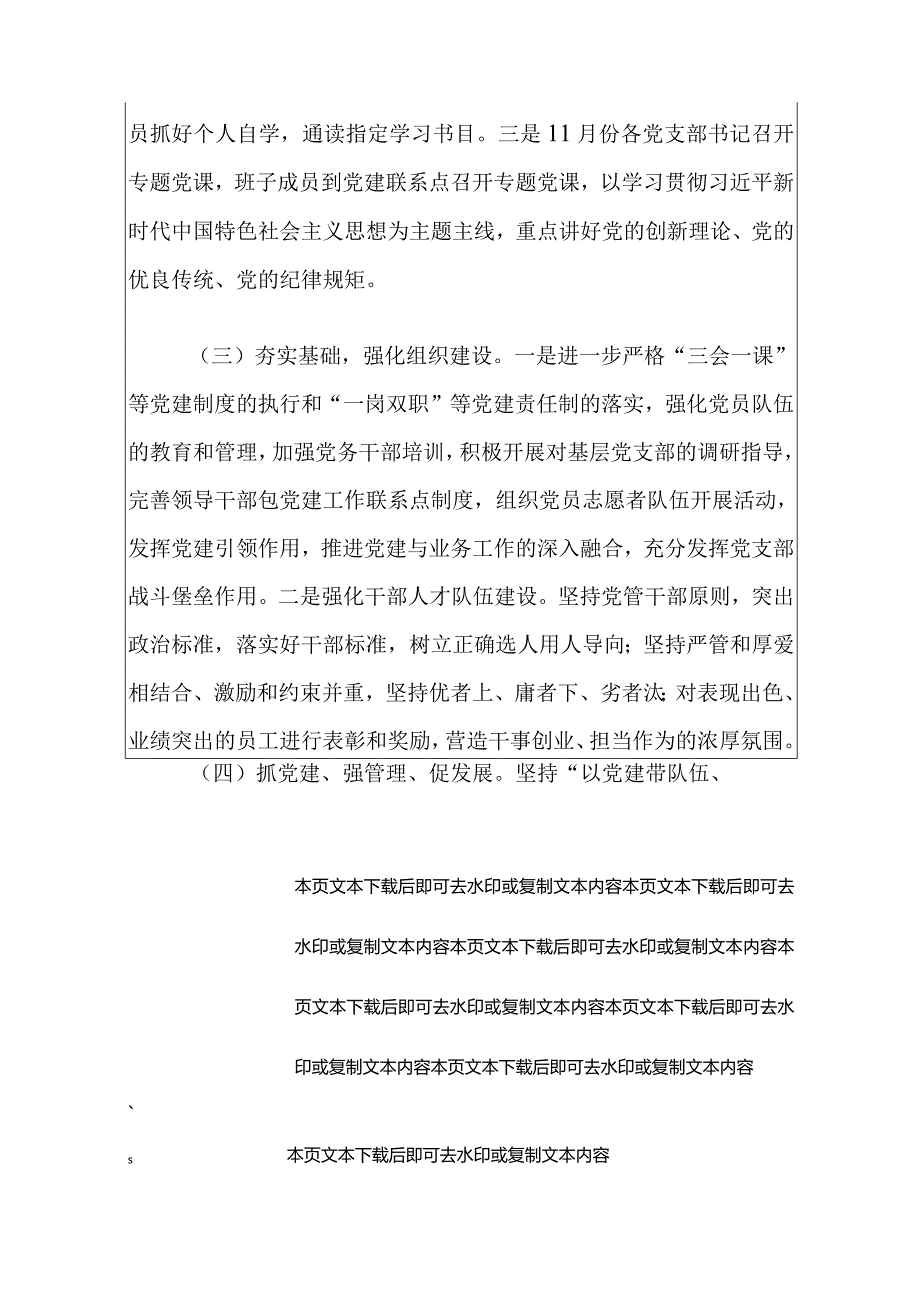 2024党支部书记述职报告（精选）(1).docx_第3页