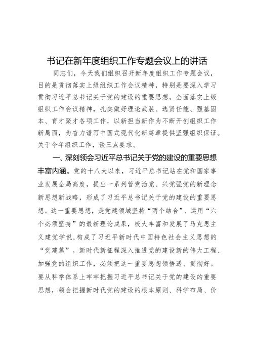 书记在新组织工作专题会议上的讲话(1).docx