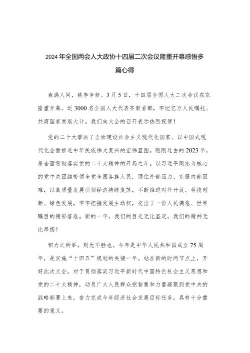 2024年全国两会人大政协十四二次会议隆重开幕感悟多篇心得.docx