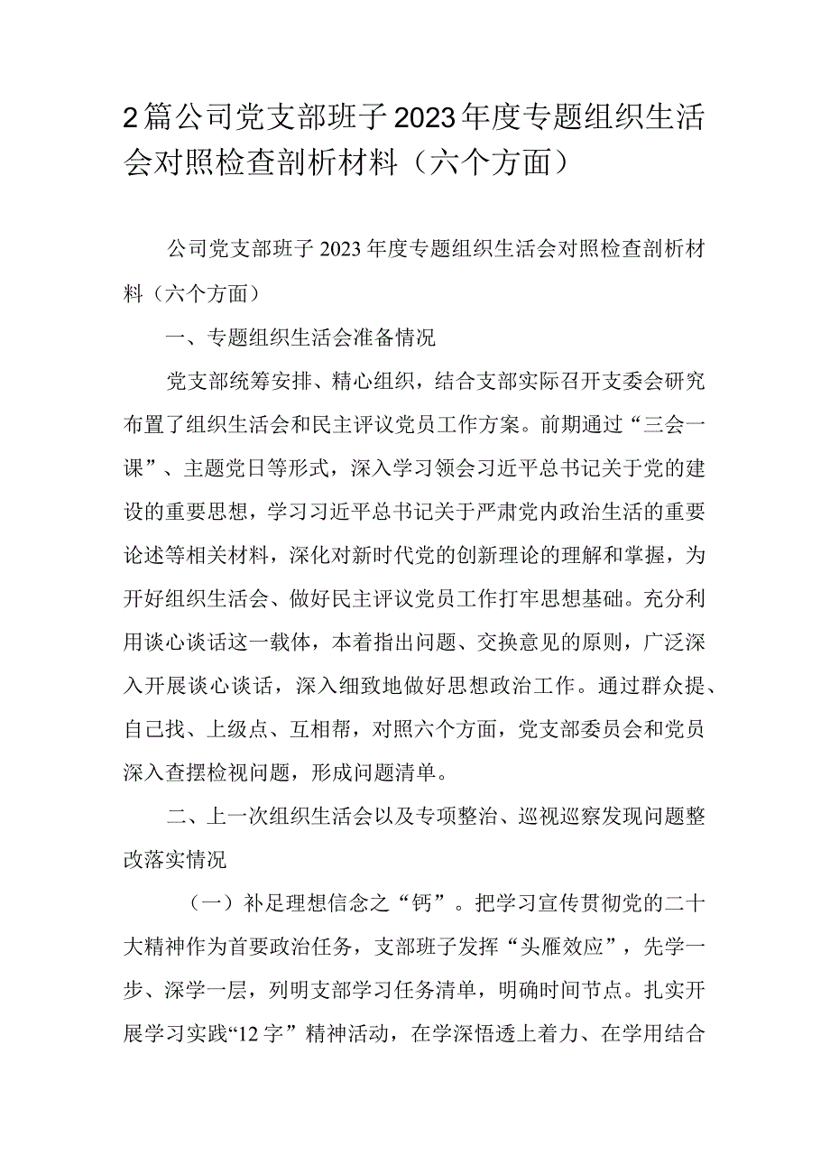 2篇公司党支部班子2023专题组织生活会对照检查剖析材料（六个方面）.docx_第1页